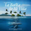 La Bahia de mi Vida