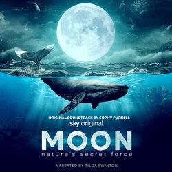 Moon: Nature's Secret Force