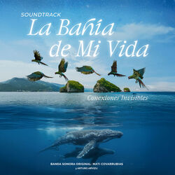 La Bahia de mi Vida