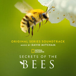 Secrets of the Bees