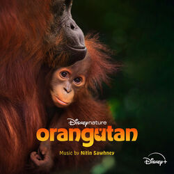 Disneynature: Orangutan