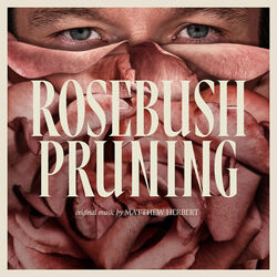 Rosebush Pruning