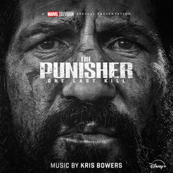 The Punisher: One Last Kill