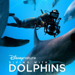 Diving with Dolphins