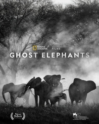 Ghost Elephants