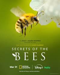 Secrets of the Bees