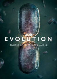 Evolution