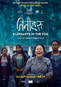 Elephants in the Fog